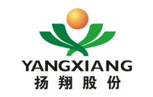 揚(yáng)翔股份